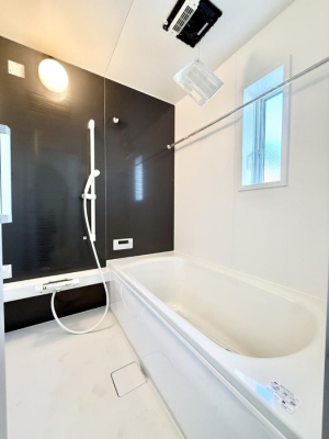 �����@�����������������F�����̕ǖʁA������芰����o�X���[��