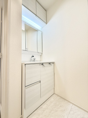 ���ʑ�E���ʏ��@���������̏������X���[�Y�ɂł���L���ł�