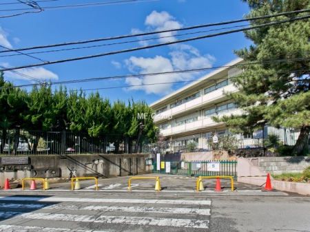 ӊ@wZ 1000m sJˑ񏬊wZ