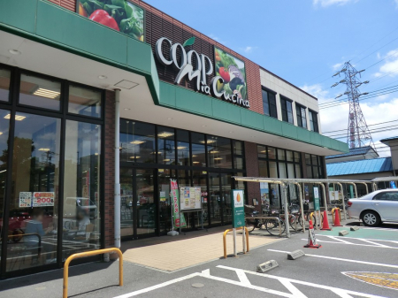 ӊ@X[p[ 800m [R[v ~AN`[igX