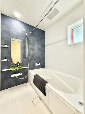 �����@�����������������F�����̕ǖʁA������芰����o�X���[��