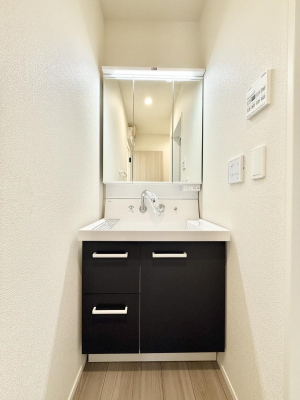 ���ʑ�E���ʏ��@���������̏������X���[�Y�ɂł���L���ł�