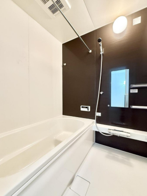 �����@�����������������F�����̕ǖʁA������芰����o�X���[��