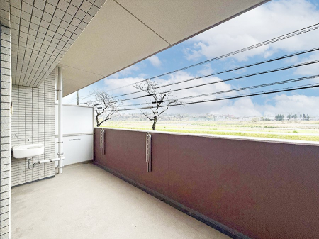 �o���R�j�[�@������ ���̃R�[�q�[���̐�����y���ށA�����̏ꏊ