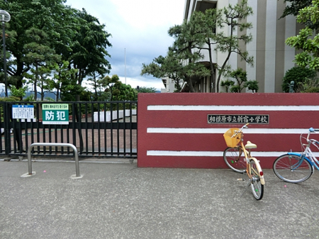 ӊ@wZ 852m ͌sVhwZ