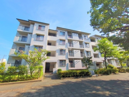 ���n�O�ώʐ^�@�O�ρ��܂��͈�x������������