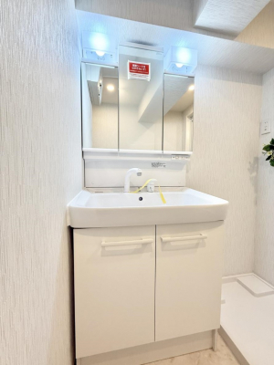 ���ʑ�E���ʏ��@���������̏������X���[�Y�ɂł���L���ł�