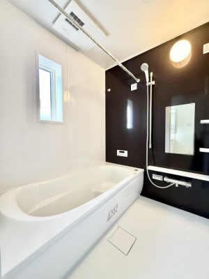 �����@����������̔�������A�S����������Ԃł�