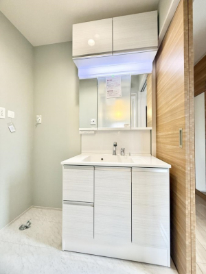 ���ʑ�E���ʏ��@���������̏������X���[�Y�ɂł���L���ł�