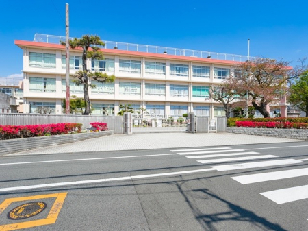 ӊ@wZ 1000m ˎst쒆wZ