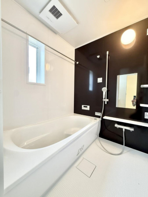 �����@�����������������F�����̕ǖʁA������芰����o�X���[��