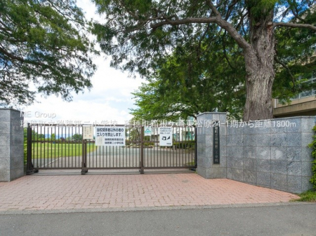 ӊ@wZ 593m 䒬񏬊wZ