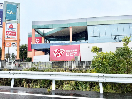 ӊ@X[p[ 1100m sA JX