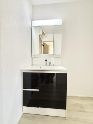 ���ʑ�E���ʏ��@���������̏������X���[�Y�ɂł���L���ł�