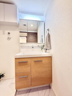 ���ʑ�E���ʏ��@���������̏������X���[�Y�ɂł���L���ł�