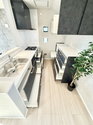 ���[�@����