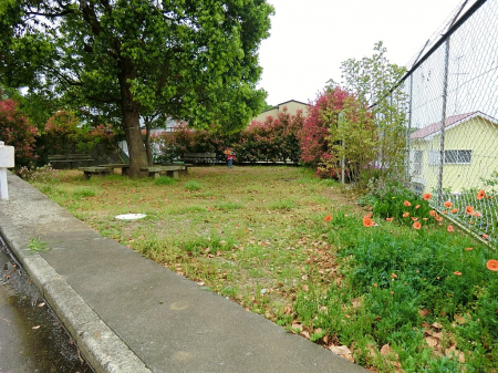 ���ӊ��@���� 1000m �Љ���׎R����