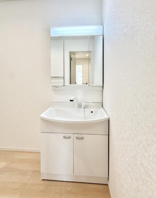 ���ʑ�E���ʏ��@���������̏������X���[�Y�ɂł���L���ł�