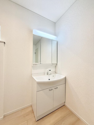 ���ʑ�E���ʏ��@���������̏������X���[�Y�ɂł���L���ł�