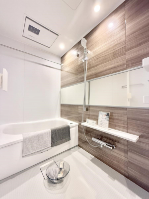 �����@�����������������F�����̕ǖʁA������芰����o�X���[��