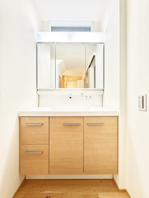 ���ʑ�E���ʏ��@���������̏������X���[�Y�ɂł���L���ł�