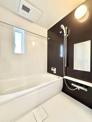 �����@�����������������F�����̕ǖʁA������芰����o�X���[��