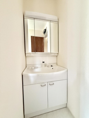 ���ʑ�E���ʏ��@���������̏������X���[�Y�ɂł���L���ł�