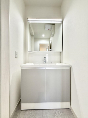 ���ʑ�E���ʏ��@���������̏������X���[�Y�ɂł���L���ł�