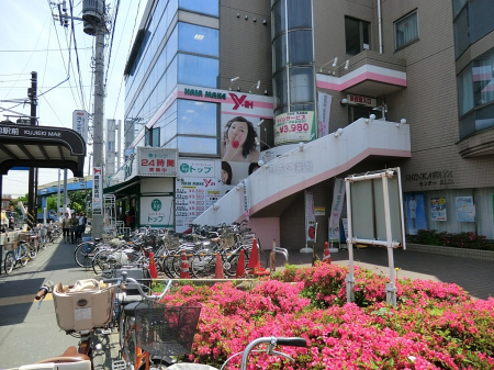 ӊ@X[p[ 500m gbvpP vnX