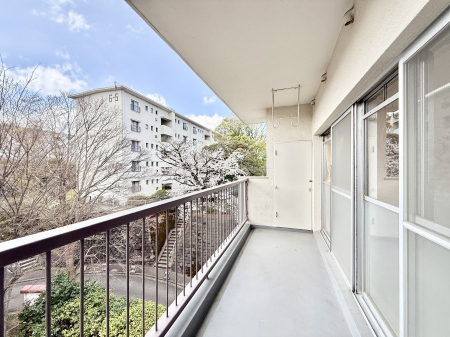 �o���R�j�[�@������ ��𒭂߂Ȃ���A�ق��ƈꑧ������ʂȋ��