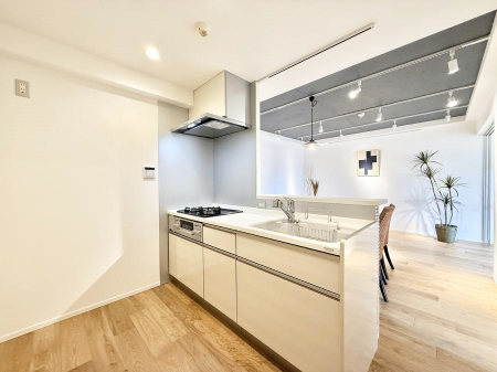 ���̑��@����