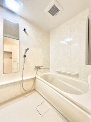 �����@�����������������F�����̕ǖʁA������芰����o�X���[��