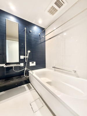 �����@����������̔�������A�S����������Ԃł�