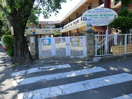 ���ӊ��@�c�t���E�ۈ牀 590m ���ԍF���c�t��