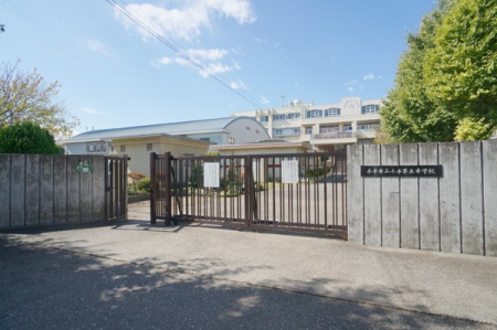 ���ӊ��@���w�Z 3000m �����s����ܒ��w�Z