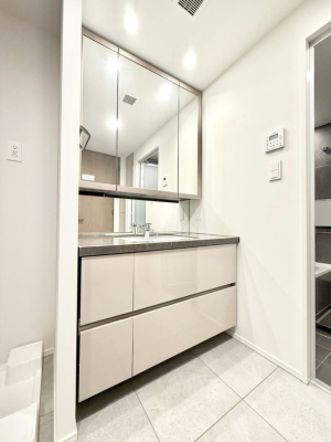 ���ʑ�E���ʏ��@���������̏������X���[�Y�ɂł���L���ł�