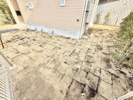 ���̑��@�O�ρ��G�߂̈ڂ낢����������A�������������͋C�̉��O���