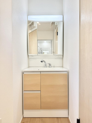 ���ʑ�E���ʏ��@���������̏������X���[�Y�ɂł���L���ł�