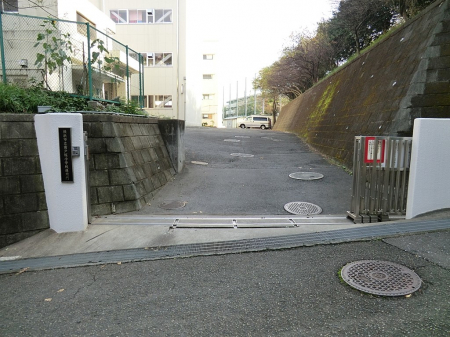 ���ӊ��@���w�Z 1000m ���l�s����˒ˏ��w�Z