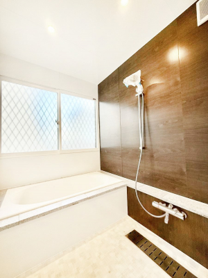 �����@�����������������F�����̕ǖʁA������芰����o�X���[��