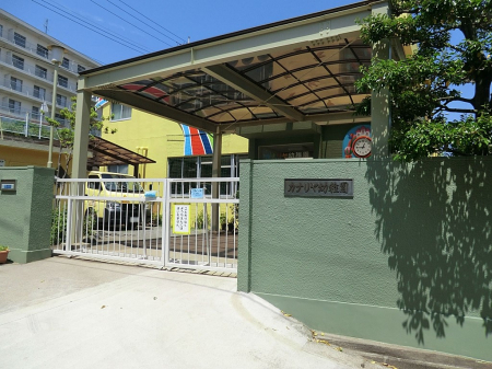 ���ӊ��@�c�t���E�ۈ牀 2000m �J�i�����c�t��