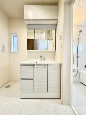 ���ʑ�E���ʏ��@���������̏������X���[�Y�ɂł���L���ł�