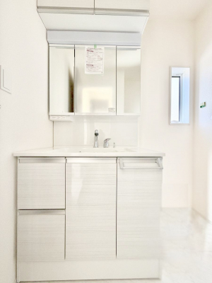 ���ʑ�E���ʏ��@���������̏������X���[�Y�ɂł���L���ł�