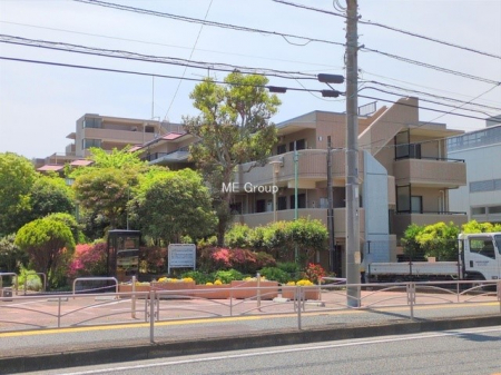 ���n�O�ώʐ^�@�O�ρ��D��ȃ��C�����A�������������Ă܂�