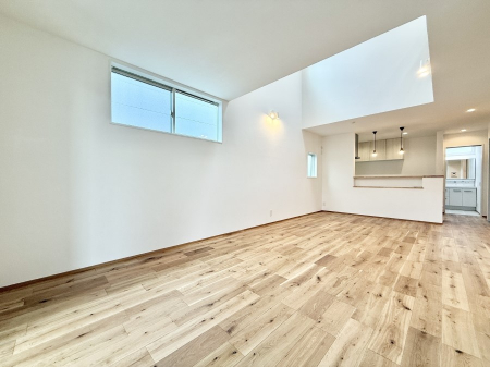 ���r���O�@���������S�n�̂����A���z�̃��r���O