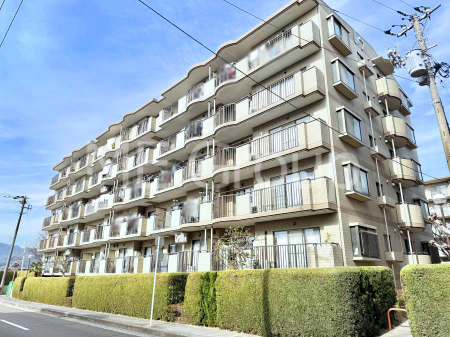 �G���g�����X�@�O�ρ��Z�܂����◈�q��S�n�悭�}����A���������p�X�y�[�X�����͂ł�