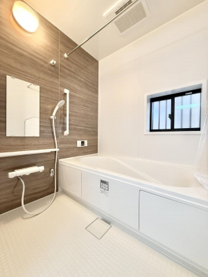 �����@�����������������F�����̕ǖʁA������芰����o�X���[��