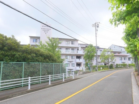 ���n�O�ώʐ^�@�O��