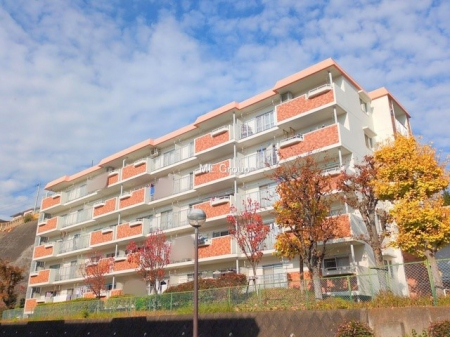 ���n�O�ώʐ^�@�O��