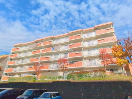 ���n�O�ώʐ^�@�O��